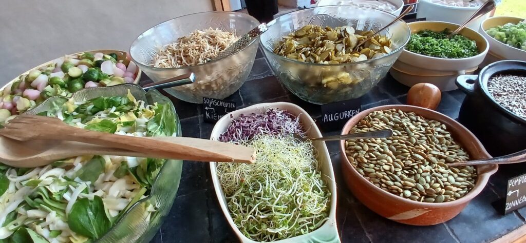 create your own salad bowl