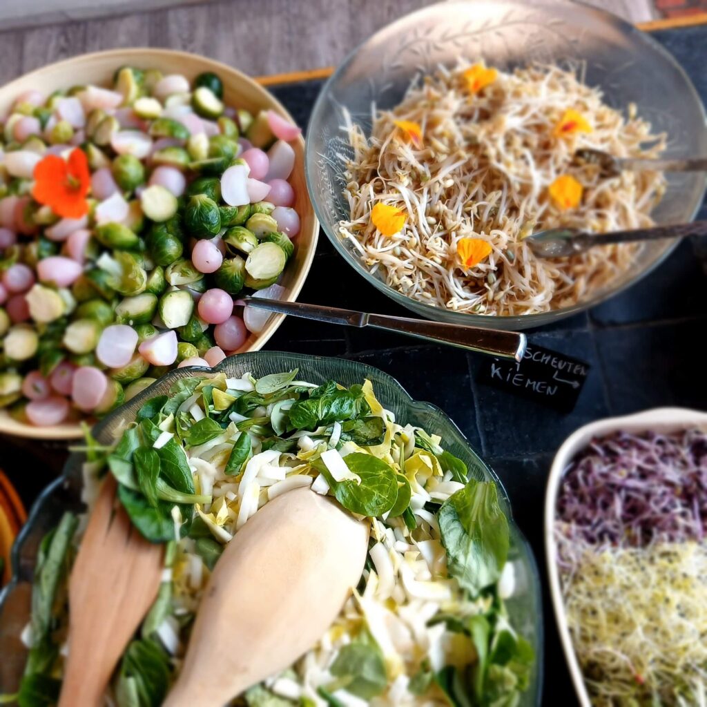 gemengde salades buffet