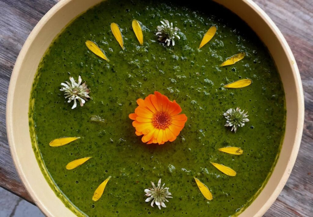 verse pesto