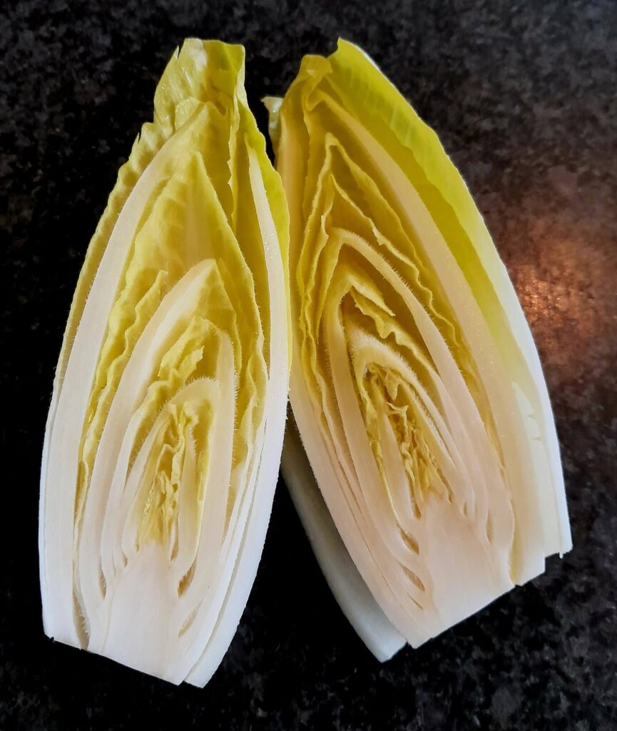 verse ingrediënten- witloof